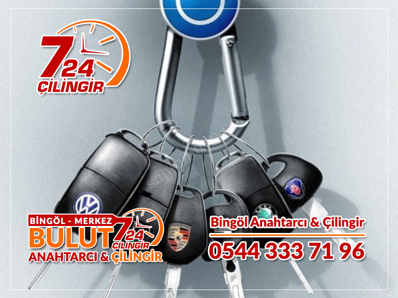 Tüm Bingölde Profesyonel ÇİLİNGİR Hizmet Ağıe